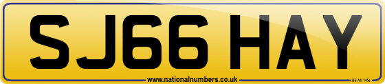 SJ66 HAY