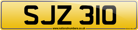 SJZ 310