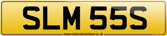 SLM 55S