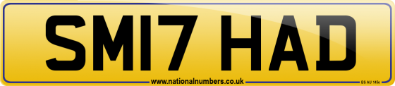 SM17 HAD