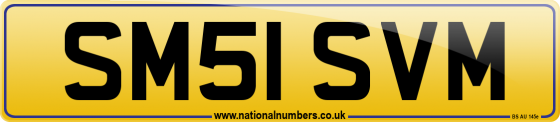 SM51 SVM