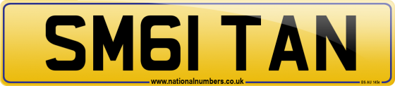 SM61 TAN