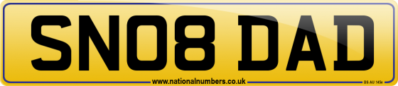 SN08 DAD
