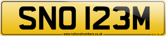 SNO 123M