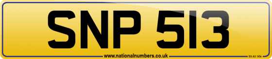 SNP 513