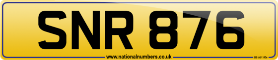 SNR 876