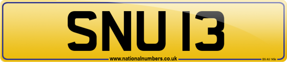 SNU 13