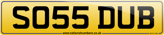 SO55 DUB