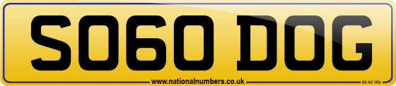 SO60 DOG