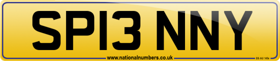 SP13 NNY
