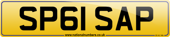 SP61 SAP