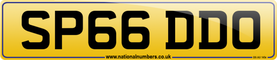SP66 DDO