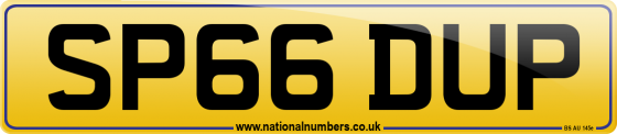 SP66 DUP