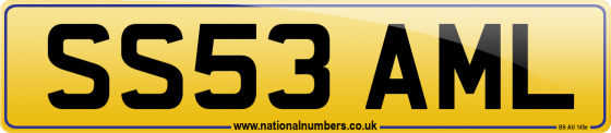 SS53 AML