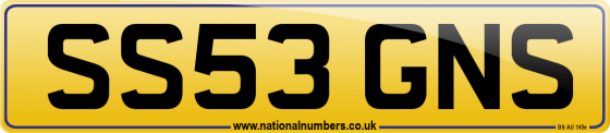 SS53 GNS