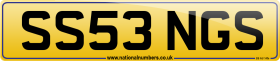 SS53 NGS