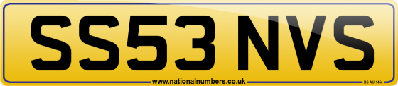 SS53 NVS