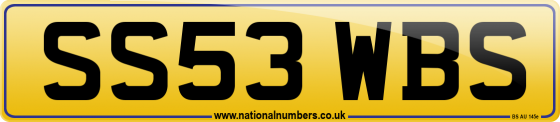 SS53 WBS