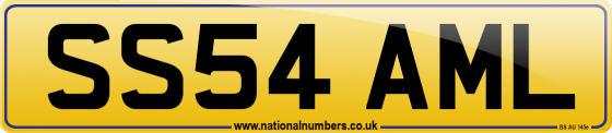 SS54 AML