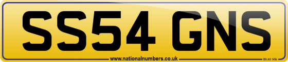 SS54 GNS