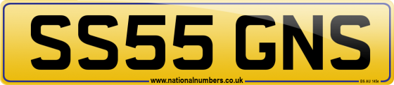 SS55 GNS
