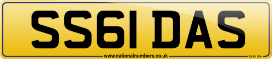SS61 DAS