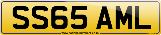 SS65 AML