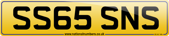 SS65 SNS