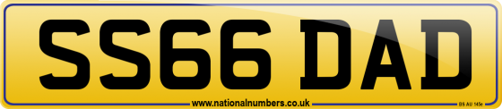 SS66 DAD