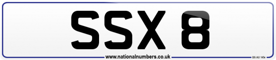 SSX 8