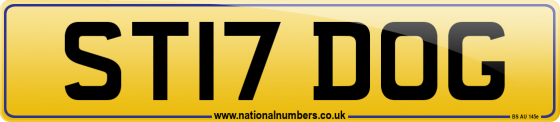 ST17 DOG