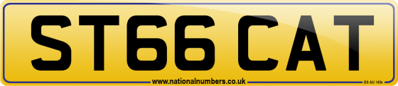 ST66 CAT