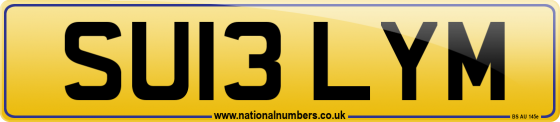 SU13 LYM