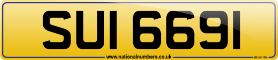 SUI 6691