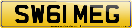 SW61 MEG