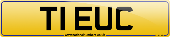 T1 EUC