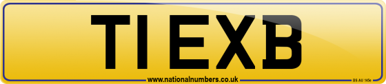 T1 EXB