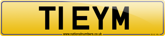 T1 EYM
