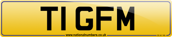 T1 GFM