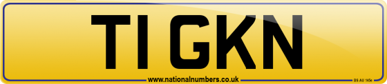 T1 GKN