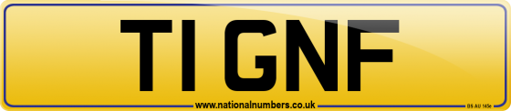 T1 GNF
