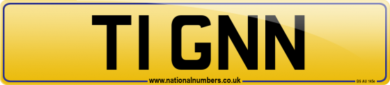 T1 GNN