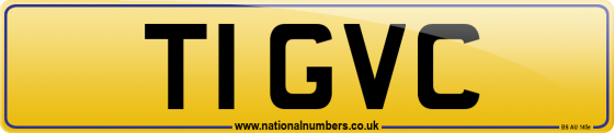 T1 GVC