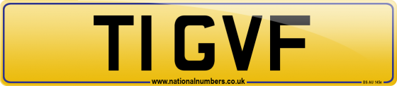 T1 GVF