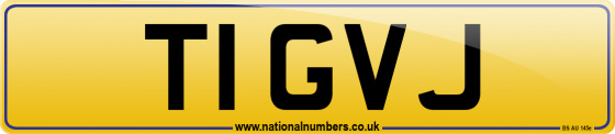 T1 GVJ