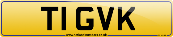 T1 GVK