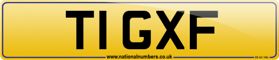 T1 GXF
