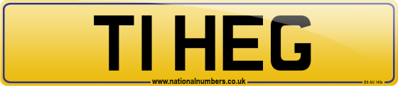 T1 HEG