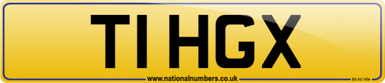 T1 HGX