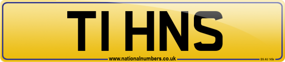 T1 HNS